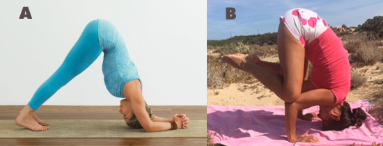 posizione delfino e corvo