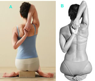 varianti facili gomukhasana